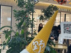 -野人先生Gelato(上海长宁龙之梦店)