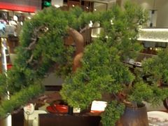 -川成元·麻辣香锅(凯德MALL西直门店)