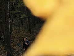 -叠溪松坪沟景区