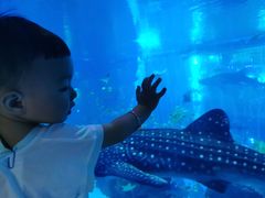 -成都浩海立方海洋公园