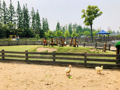 -前小桔亲子创意农场·草莓采摘·露营烧烤