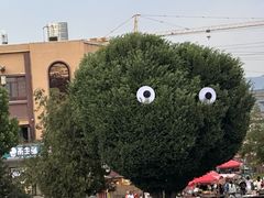 -特克斯八卦城
