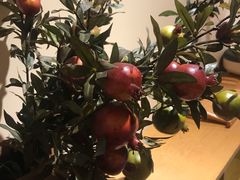 -左悦·艾灸调理·推拿按摩·精油SPA(卓悦汇店)