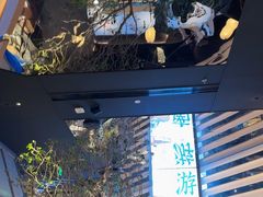 -桂满陇·海市蜃楼·黑金(国金店)