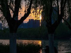 -天鹅湖体育公园