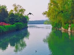 -颐和园