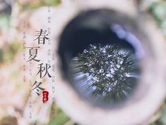 -羊楼洞