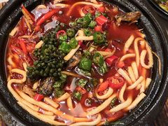 -陈麻婆豆腐总店