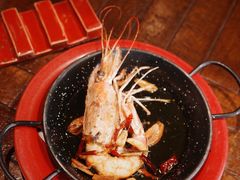 -TOMATITO(无限极荟店)