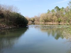 -上海吴淞炮台湾国家湿地公园