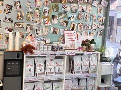 -爱妮康宠物医院·干细胞免疫细胞·肿瘤·心脏(张江店)