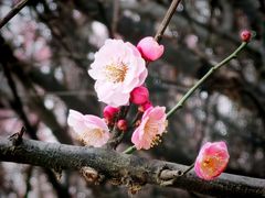 -渭河城市绿地运动公园