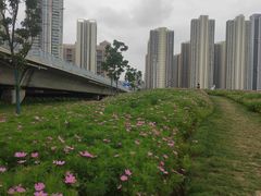 -汉江湾体育公园