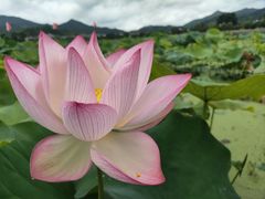 -古田会议纪念馆