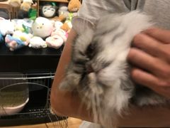 -藦茜花园宠物主题亲子互动体验馆(国顺东路店)