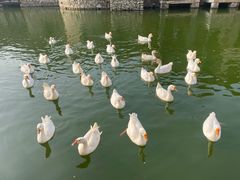 -卧龙堡客栈·中餐厅(古北水镇店)