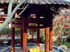 -华清宫景区