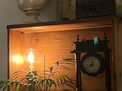 -樹下遇见树·咖啡