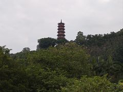 -南沙蒲洲花园