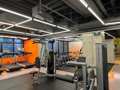 -健身专家Wellness Experts