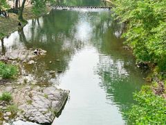 -鹿亭中村
