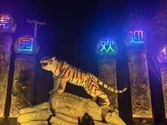 -石家庄极地海洋世界