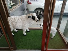 -阳坊胜利涮羊肉(阳坊老店)