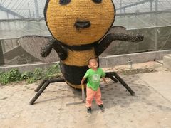 -庞各庄翠芳园西瓜蔬菜基地采摘园