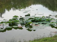 -东郊湿地公园