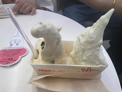 -野人先生现做冰淇淋(北京环宇荟店)