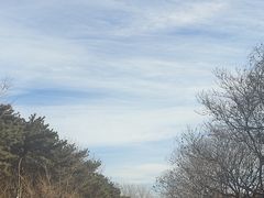 -北京西山国家森林公园