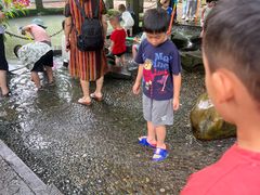 -成都市活水公园