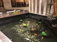 -久宴·天目湖大鱼头(恐龙园店)