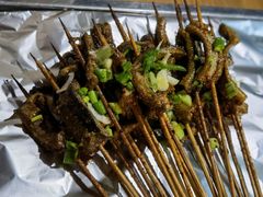 -晓靖轩烧烤(沙河风情店)