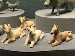 -广西壮族自治区博物馆