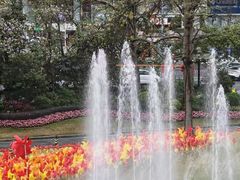 -广州花园酒店