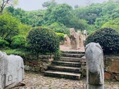 -雨花胜境