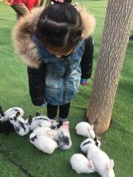 -萌宠亲子动物乐园(槐房万达店)