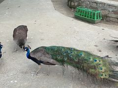 -齐齐哈尔龙沙动植物园