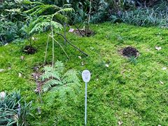 -成都市活水公园