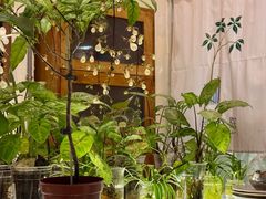 -绿小院(荔湾店)
