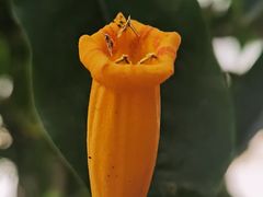 -北京植物园-展览温室