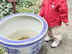 -不倒翁·徽天下名菜楼(马鞍山路店)