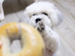 -啊噗吐呦现场烘焙(麦凯乐店)