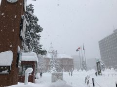 -北海道厅旧本厅舍(旧本庁舎)