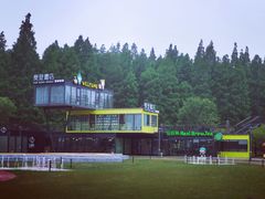 -黄海国家森林公园