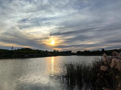-马家湾湿地公园