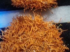 -V-ONE西雅图海鲜自助餐厅(仓山万达广场店)