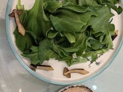-新粤新疆菜(禅城店)