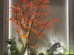 -金贵源食神(楚河汉街店)